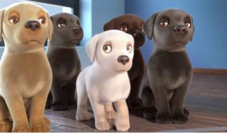 Chien guide
