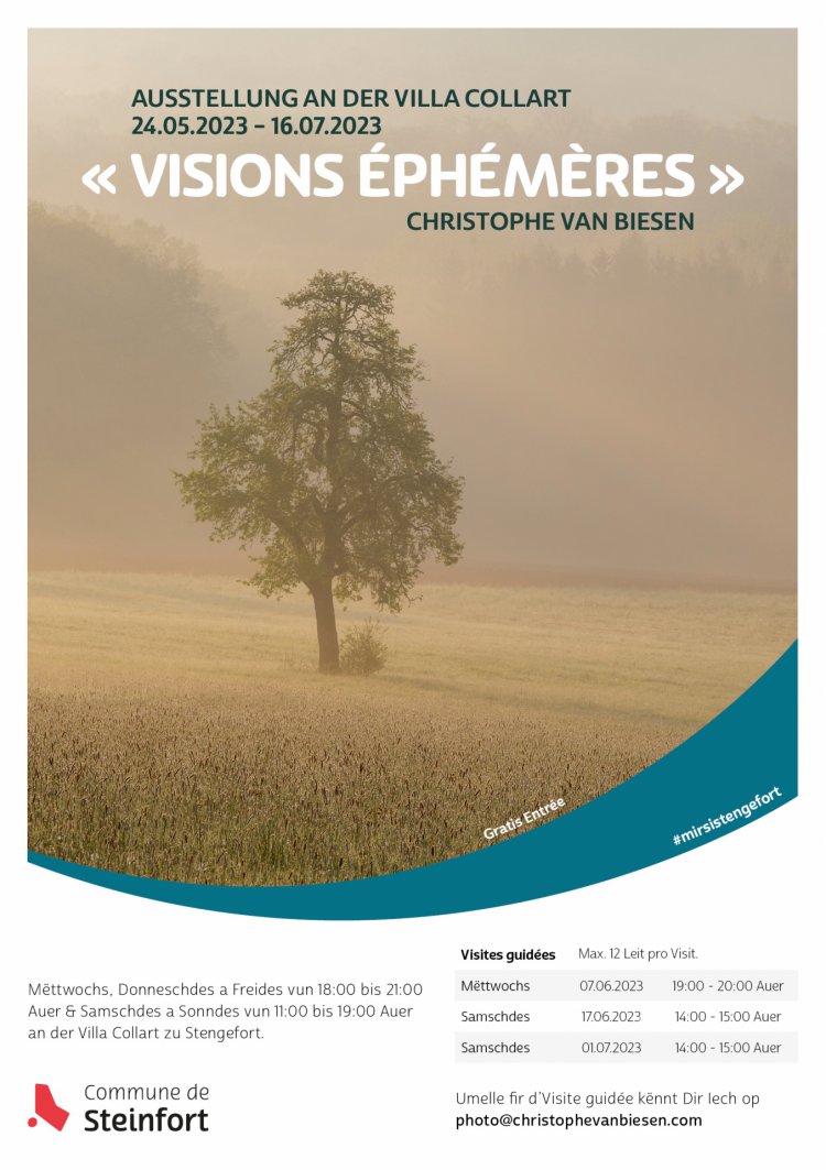 Exposition: Visions éphémères