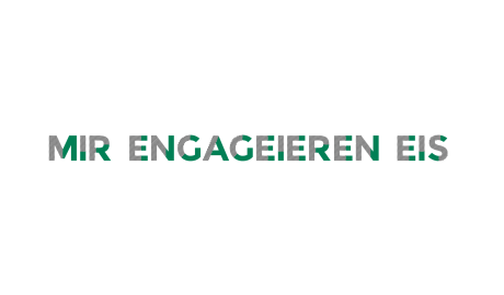 MIR ENGAGE?IEREN EIS logo