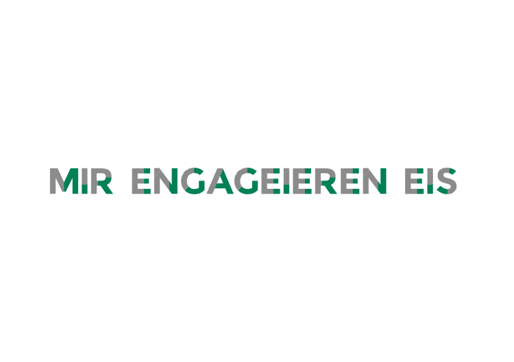 MIR ENGAGE?IEREN EIS logo