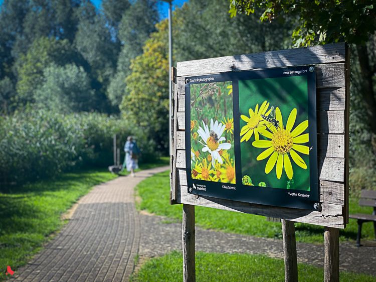 2023 07 28 Billerwee Fotoskuer-2292