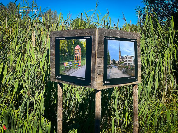 2023 07 28 Billerwee Fotoskuer-2271