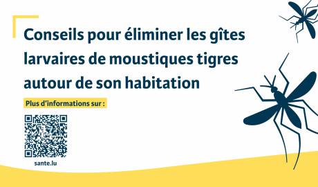 2023-06-12-cran-dynamique-moustique-tigre2