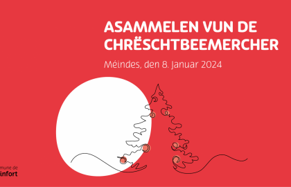 Collecte Sapins FB Post