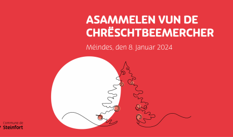 Collecte Sapins FB Post