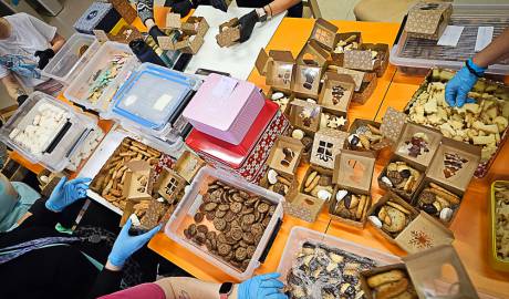 2023 12 25 Noel de la Rue Maison Relais-1000022292