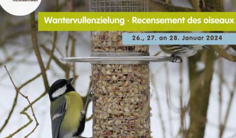 420074515 780497684102545 3659929758470532080 n