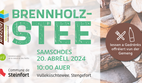 Facebook Posts Holzstee Zeichenfläche 1