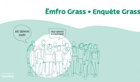 Ëmfro Grass Zeichenfläche 1