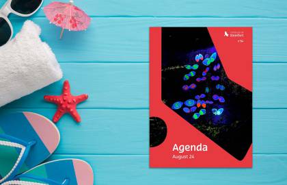 08 Agenda Mock-up