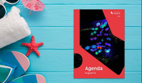 08 Agenda Mock-up