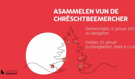2025 01 09 FB Post Collecte sapins