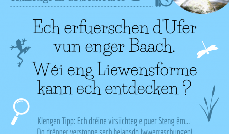 Erausfuerderung Null Offall 4 (LU)
