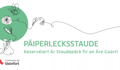 Facebook-Posts Staudepäk-2