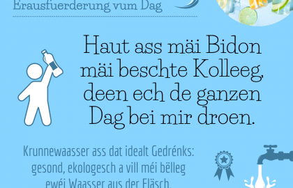Erausfuerderung Null Offall 8 (LU)