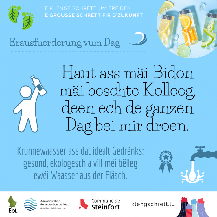 Erausfuerderung Null Offall 8 (LU)