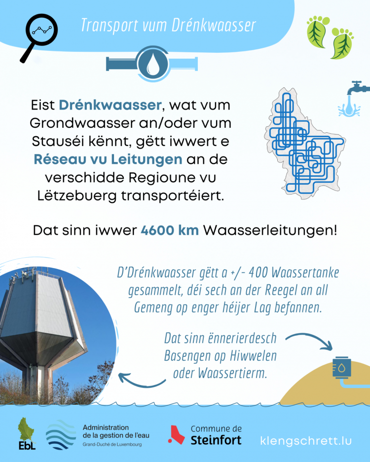 Kleng Schrett Waasser schätzen FAKT 5 LU
