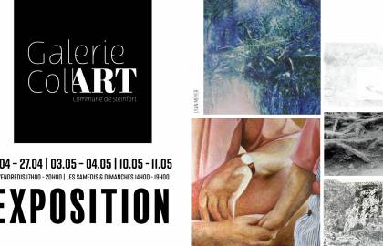 Facebook Post Galerie CollART Lynn Meyer
