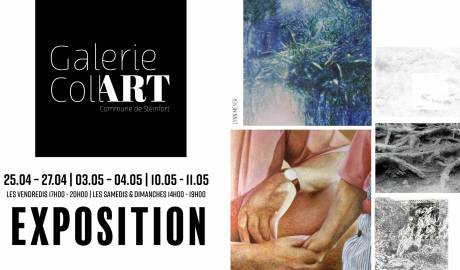 Facebook Post Galerie CollART Lynn Meyer