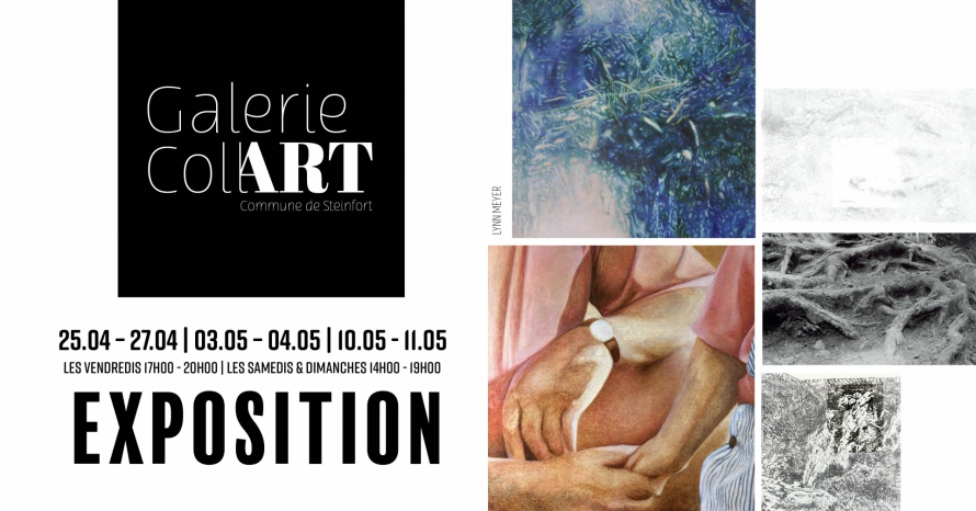 Facebook Post Galerie CollART Lynn Meyer