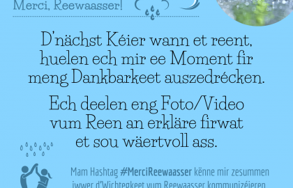 Erausfuerderung Null Offall 9 (LU)