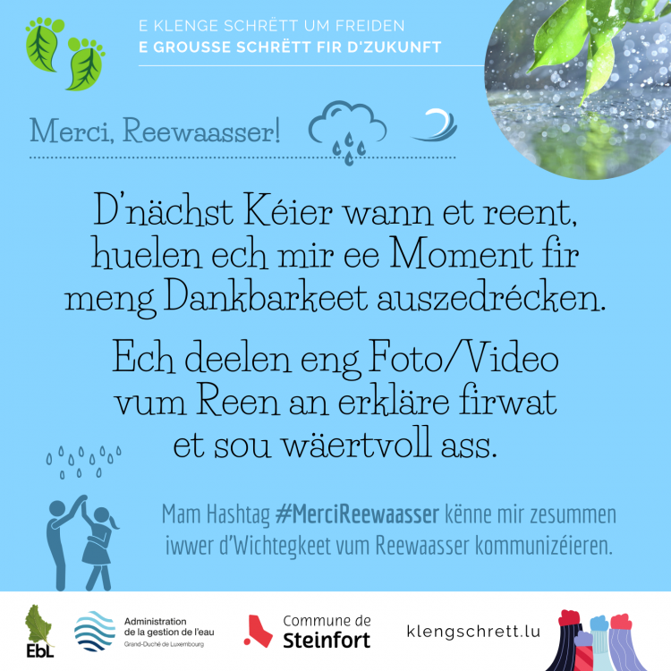 Erausfuerderung Null Offall 9 (LU)