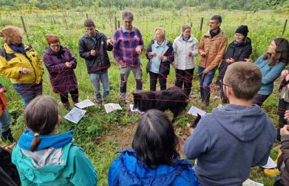 Permaculture 2