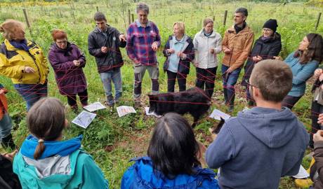 Permaculture 2