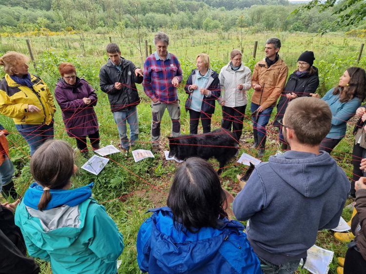 Permaculture 2