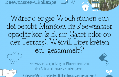 Erausfuerderung Null Offall 3 (LU)