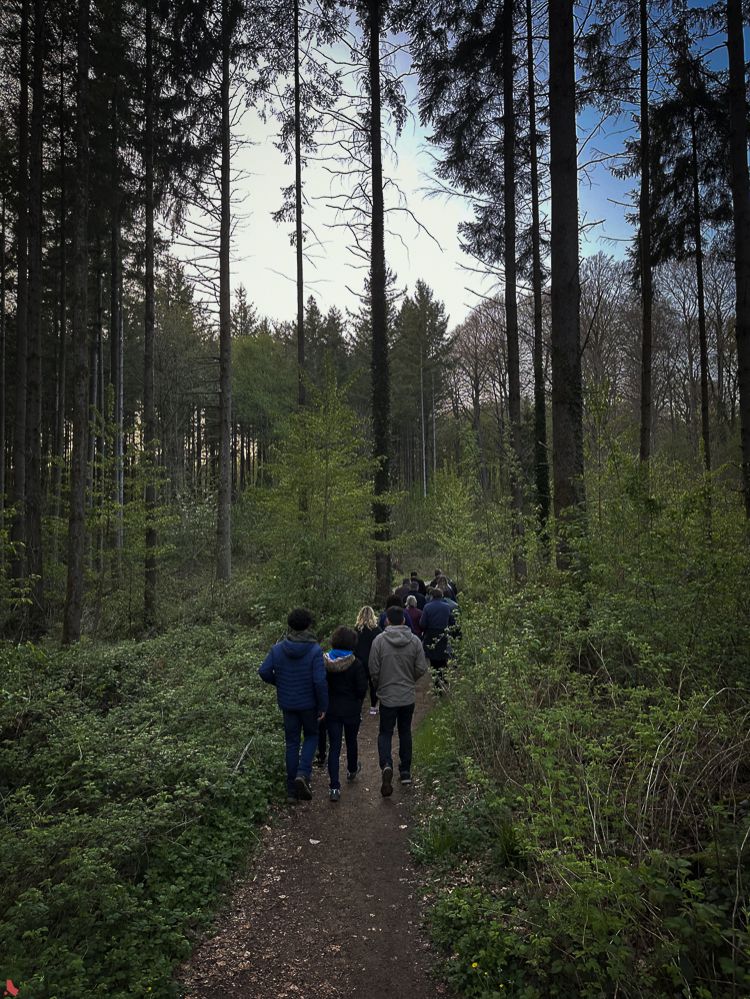 2025 04 25 Nuetswanderung-9982