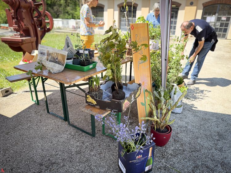 2025 05 10 Repair Café & co-5268
