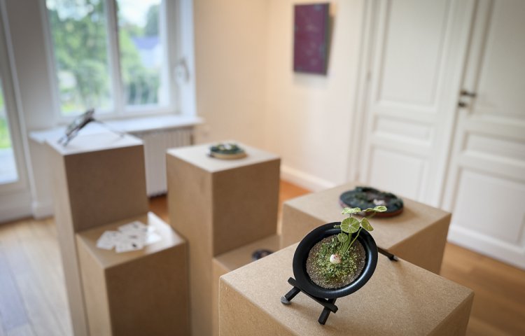 2025 06 26 Vernissage Anne Weis Tiffany Matos Galerie CollART (4 sur 32)