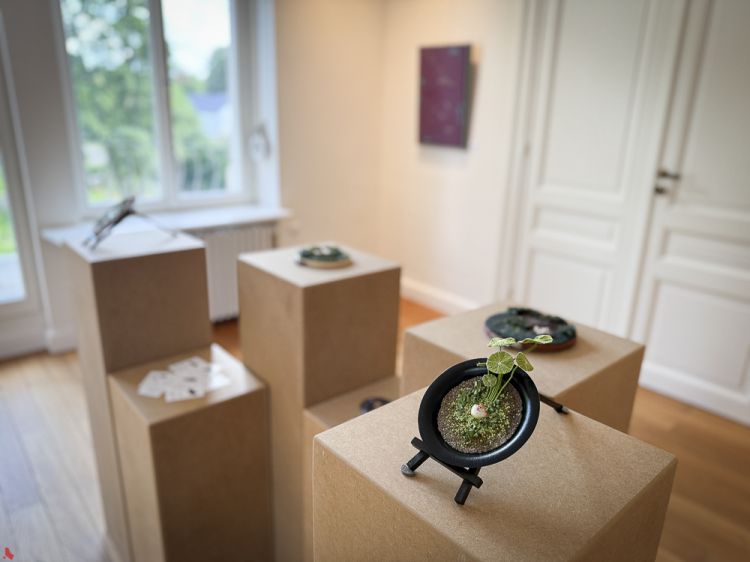 2025 06 26 Vernissage Anne Weis Tiffany Matos Galerie CollART (4 sur 32)