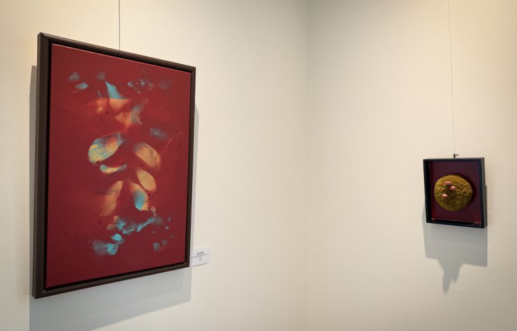 2025 06 26 Vernissage Anne Weis Tiffany Matos Galerie CollART (3 sur 32)