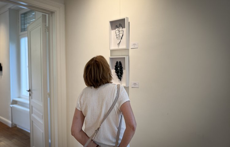 2025 06 26 Vernissage Anne Weis Tiffany Matos Galerie CollART (7 sur 32)