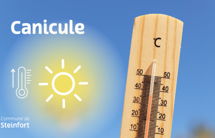 2025 Canicule