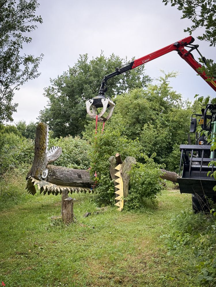 2025 06 26 Dino weg (16 sur 40)