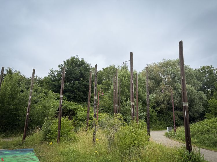 2025 06 26 Dino weg (39 sur 40)