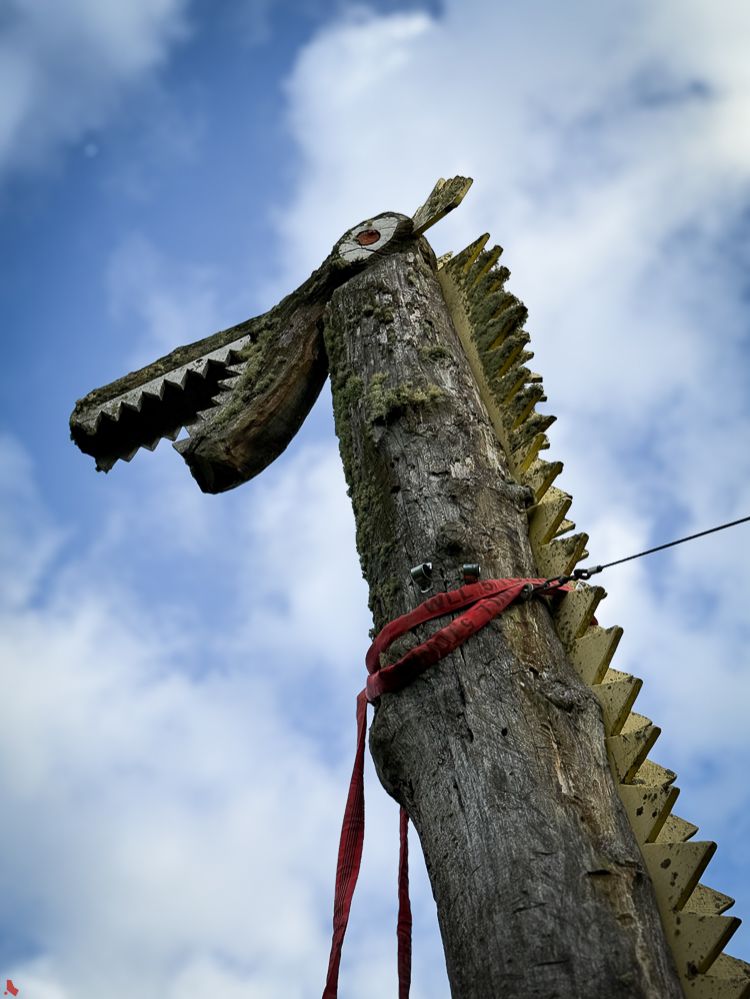 2025 06 26 Dino weg (1 sur 40)