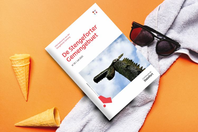 Mock up De Gemengebuet 35