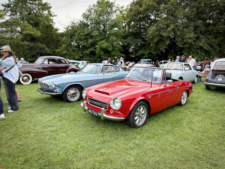 2025 08 03 Vintage Cars & Bikes-8560
