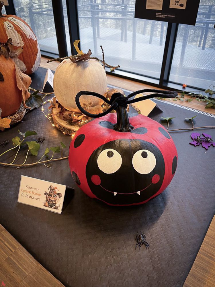 2025 10 24 Hexen a Legenden (13 sur 18)