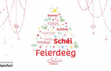 Post Facebook Schéi Feierdeeg