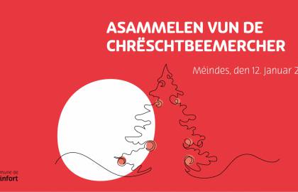 2026 01 12 FB Post Collecte sapins