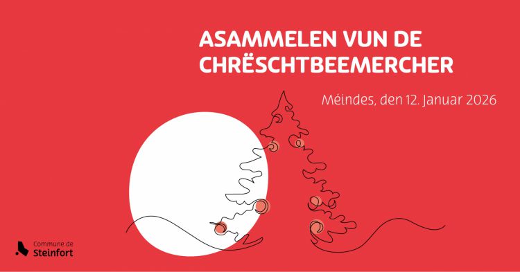 2026 01 12 FB Post Collecte sapins