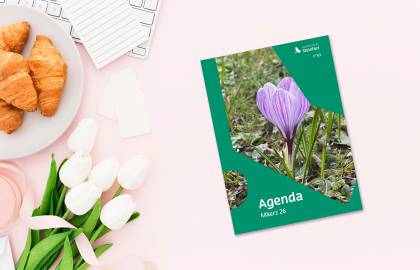 2026 03 Mockup Agenda