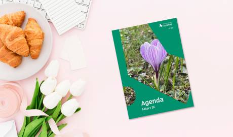 2026 03 Mockup Agenda