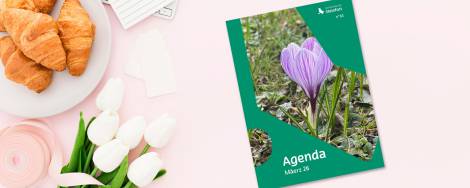 2026 03 Mockup Agenda