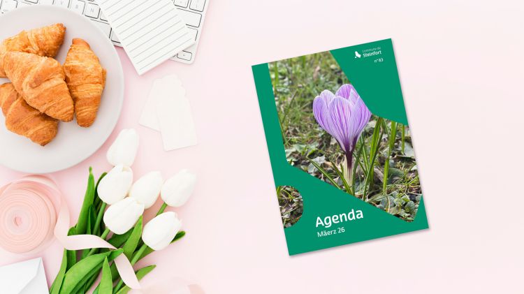 2026 03 Mockup Agenda